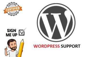 Portfolio for I will provide monthly wordpress support